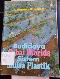 Budidaya Cabai Hibrida Sistem Mulsa Plastik