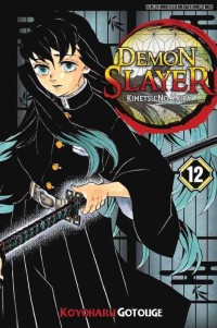 DEMON SLAYER: Kimetsu no Yaiba 12