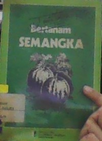 BERTANAM SEMANGKA