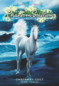 Phantom Stallion: Wild Horse Island