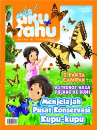 Menjelajah Pusat Konservasi Kupu-Kupu